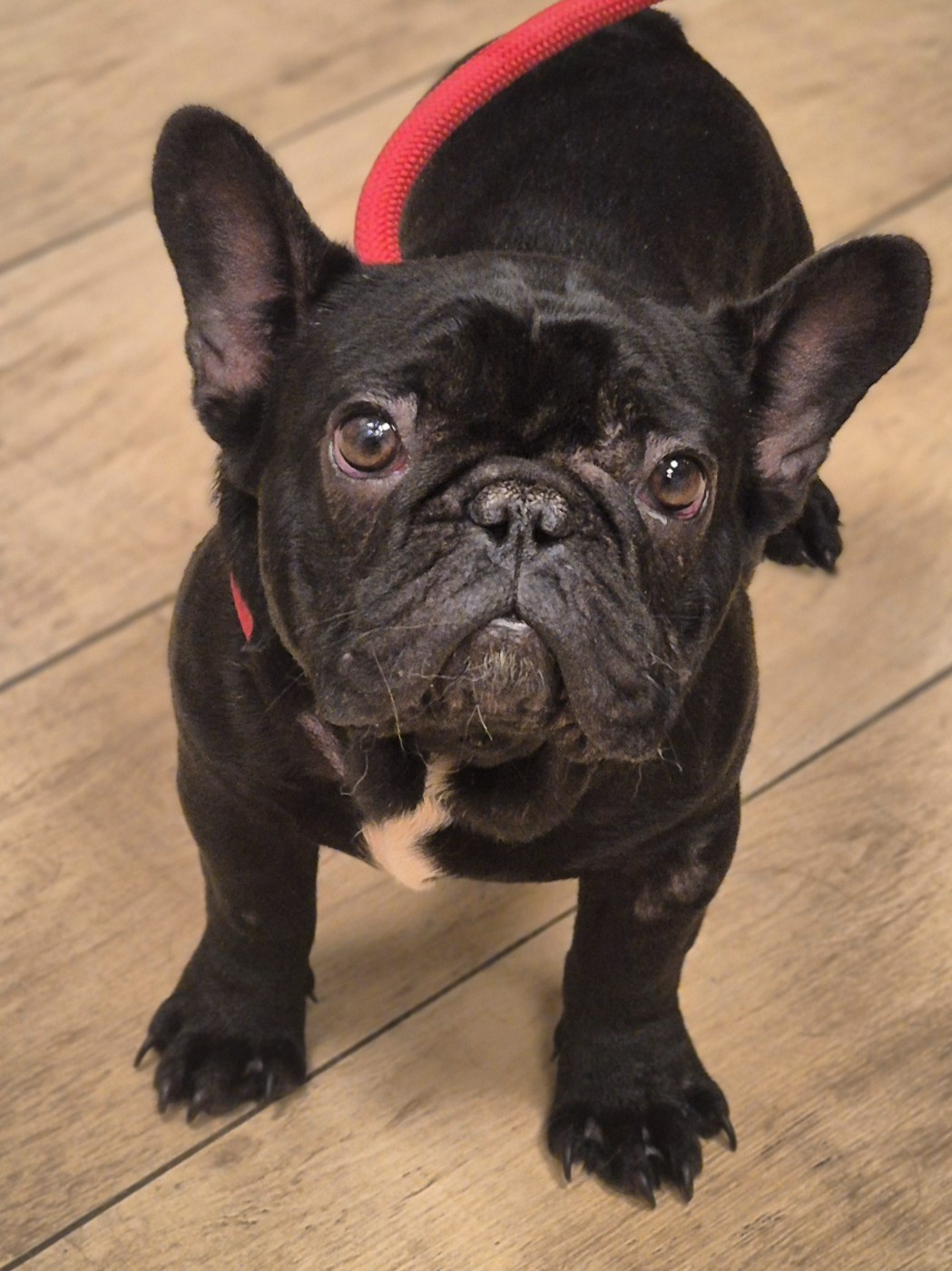 Argos  des perles d'Aphrodite